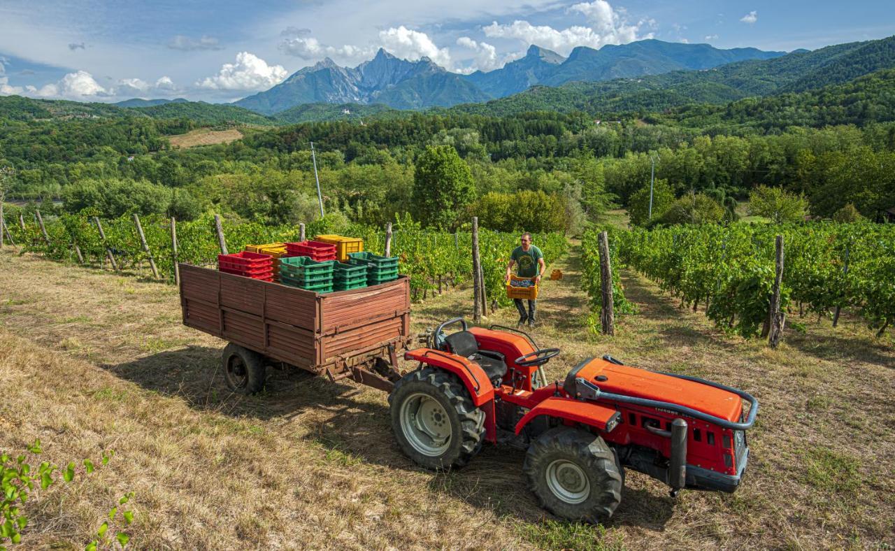 Agriturismo Il Bardellino Fivizzano Dış mekan fotoğraf