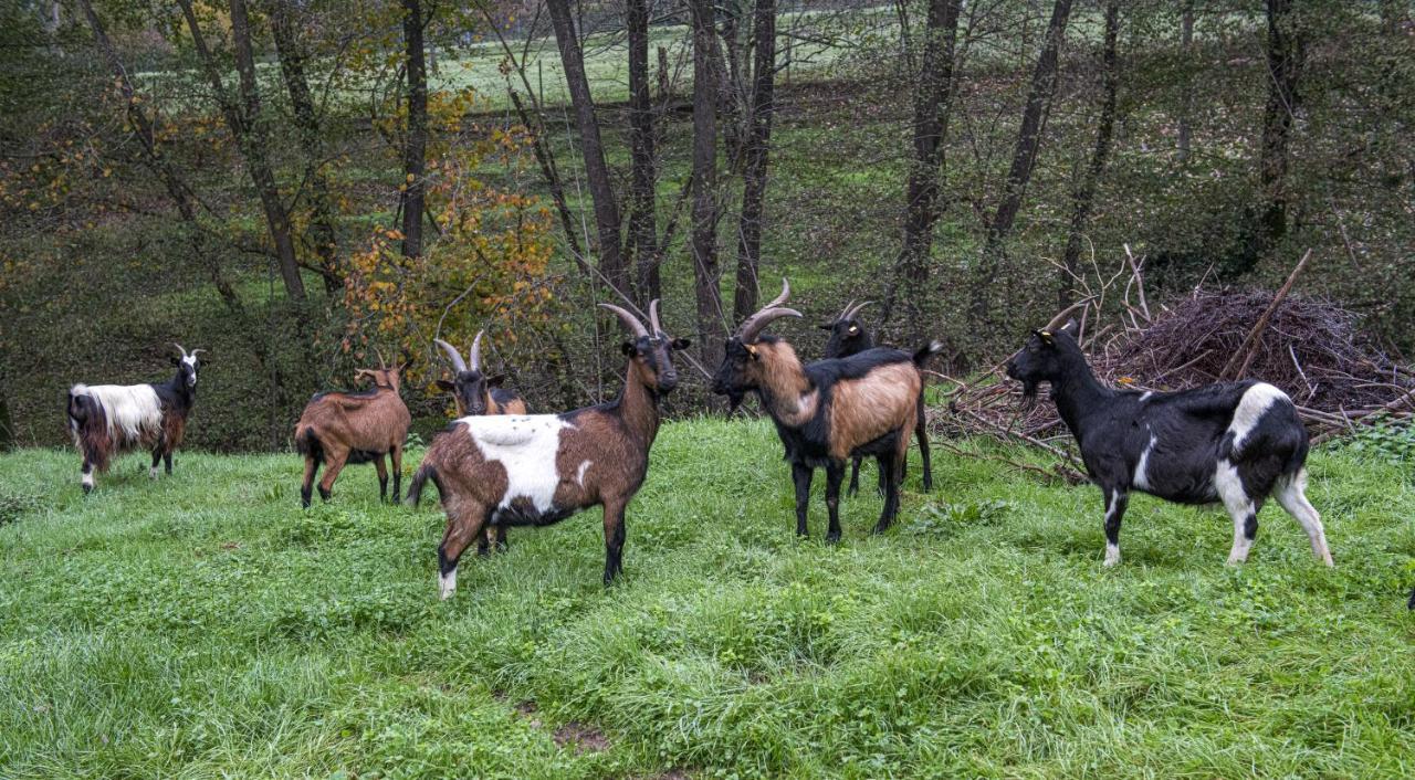 Agriturismo Il Bardellino Fivizzano Dış mekan fotoğraf