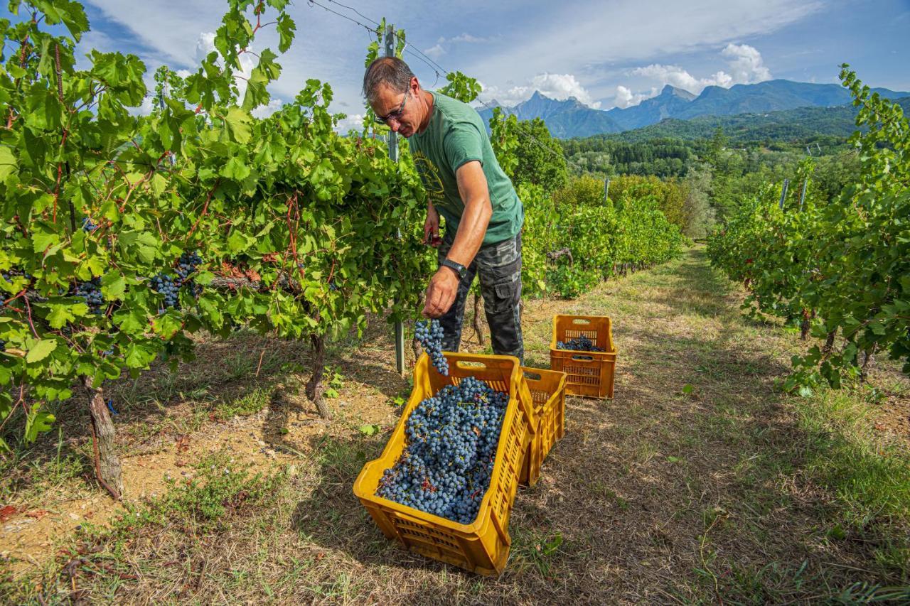 Agriturismo Il Bardellino Fivizzano Dış mekan fotoğraf