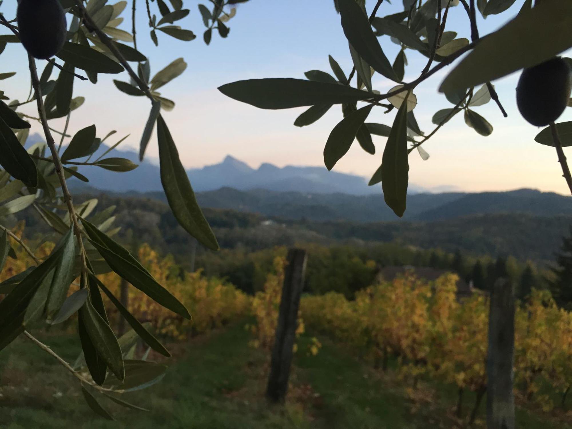 Agriturismo Il Bardellino Fivizzano Dış mekan fotoğraf