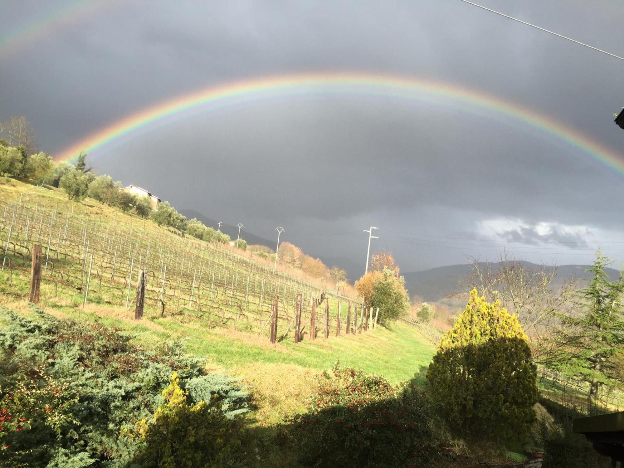 Agriturismo Il Bardellino Fivizzano Dış mekan fotoğraf