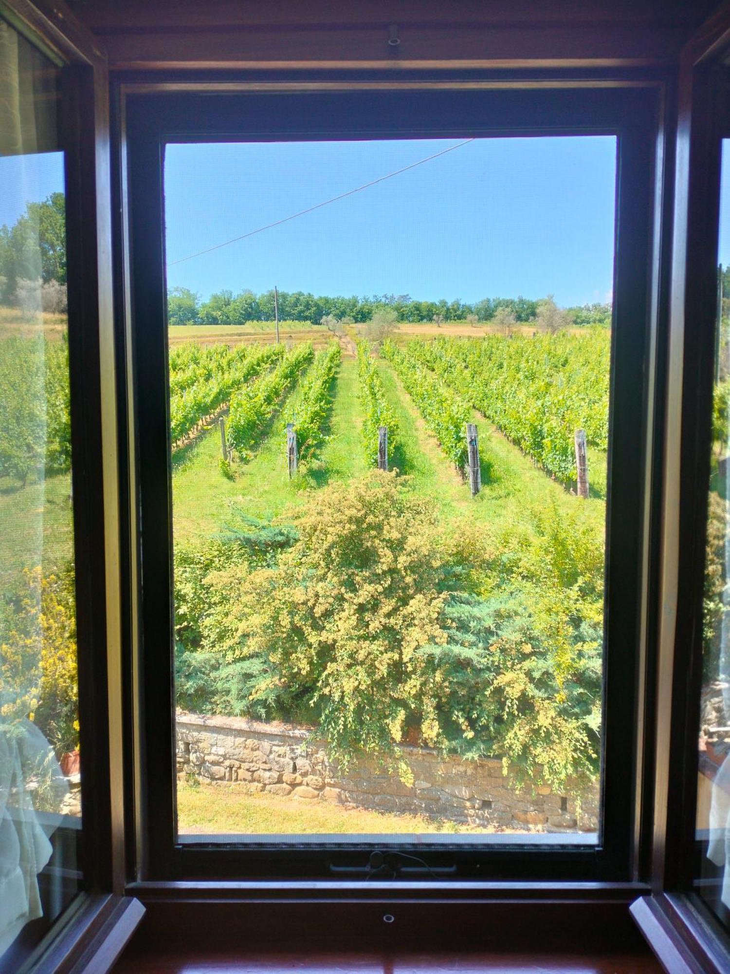 Agriturismo Il Bardellino Fivizzano Dış mekan fotoğraf