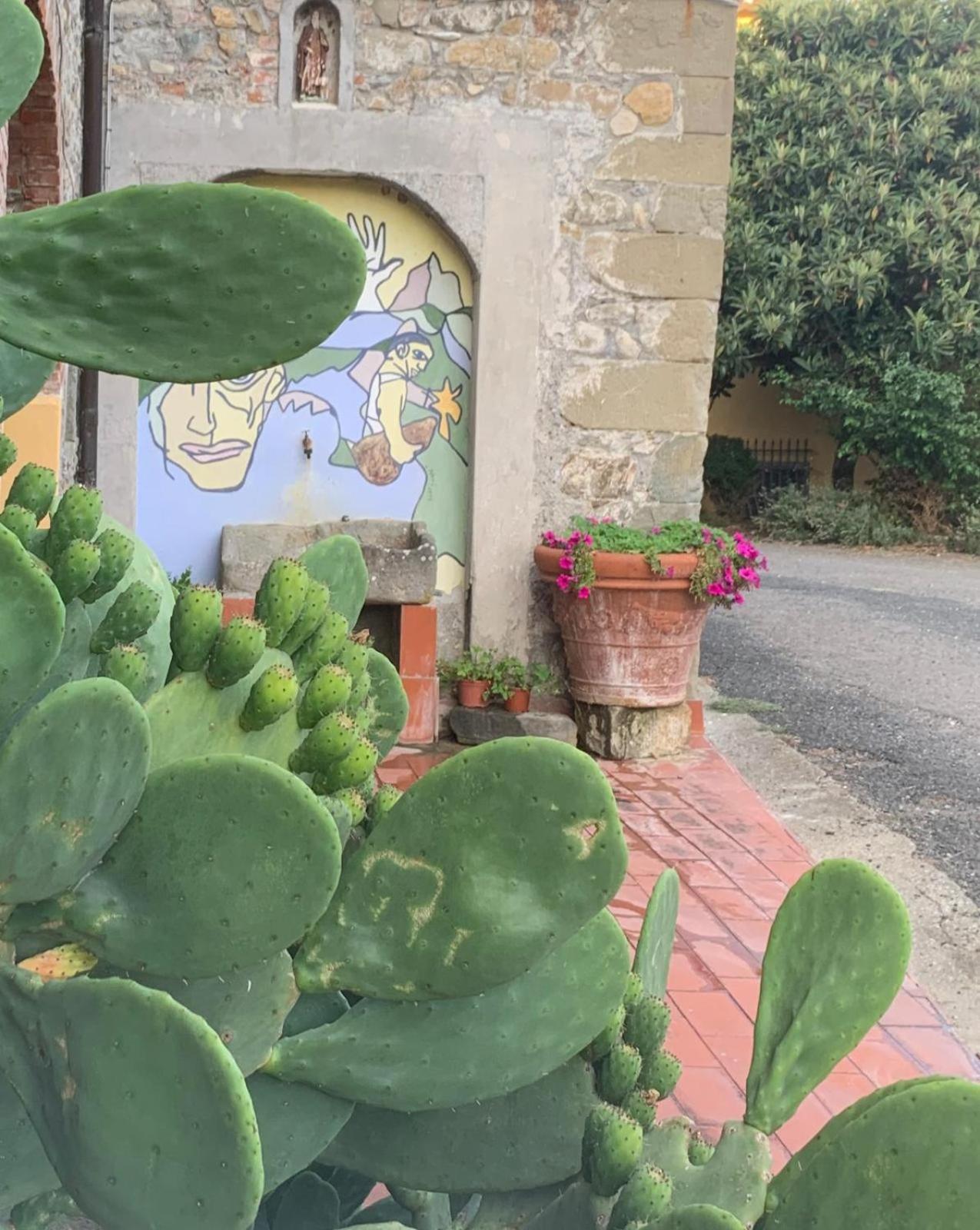 Agriturismo Il Bardellino Fivizzano Dış mekan fotoğraf