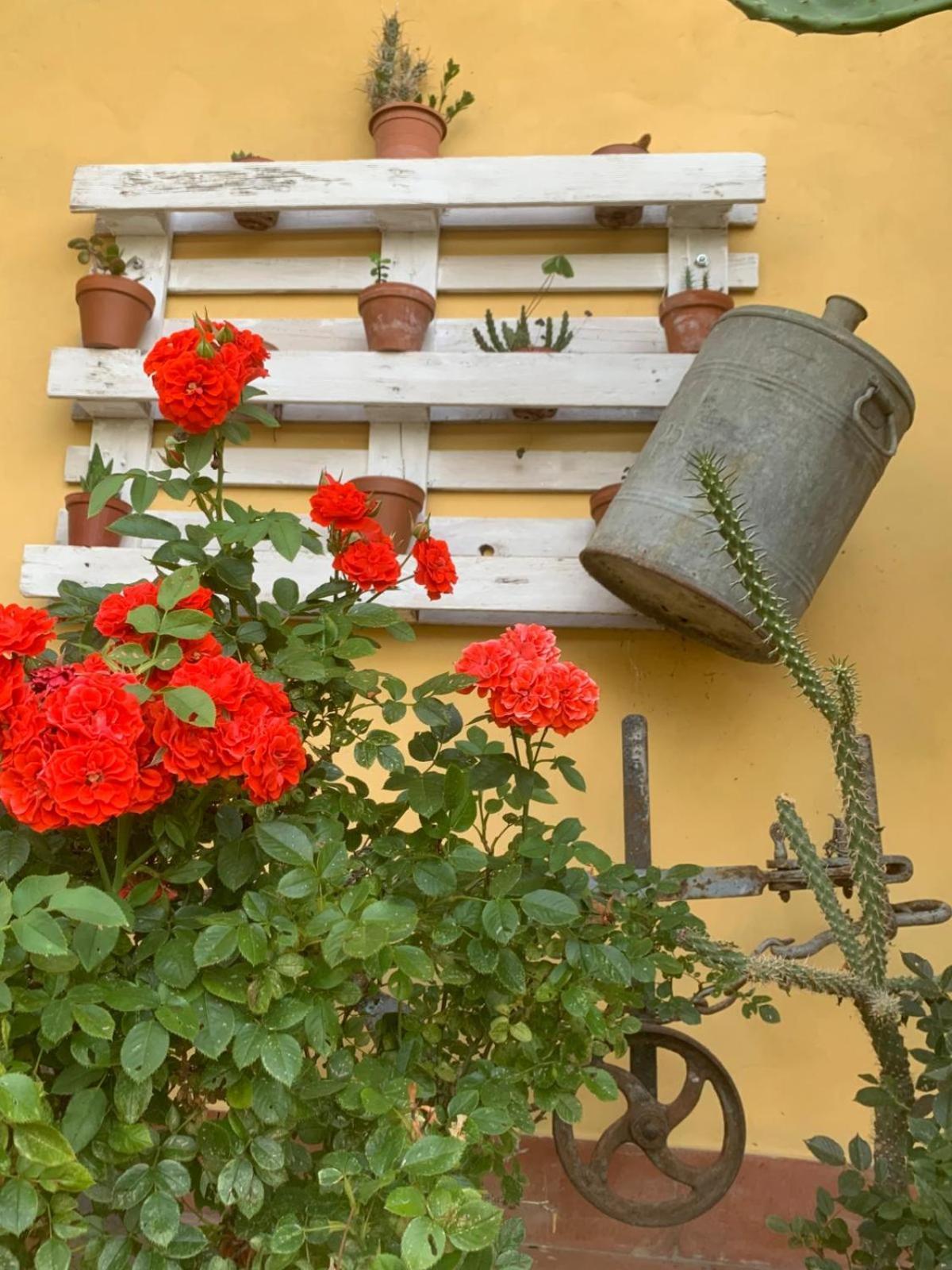 Agriturismo Il Bardellino Fivizzano Dış mekan fotoğraf