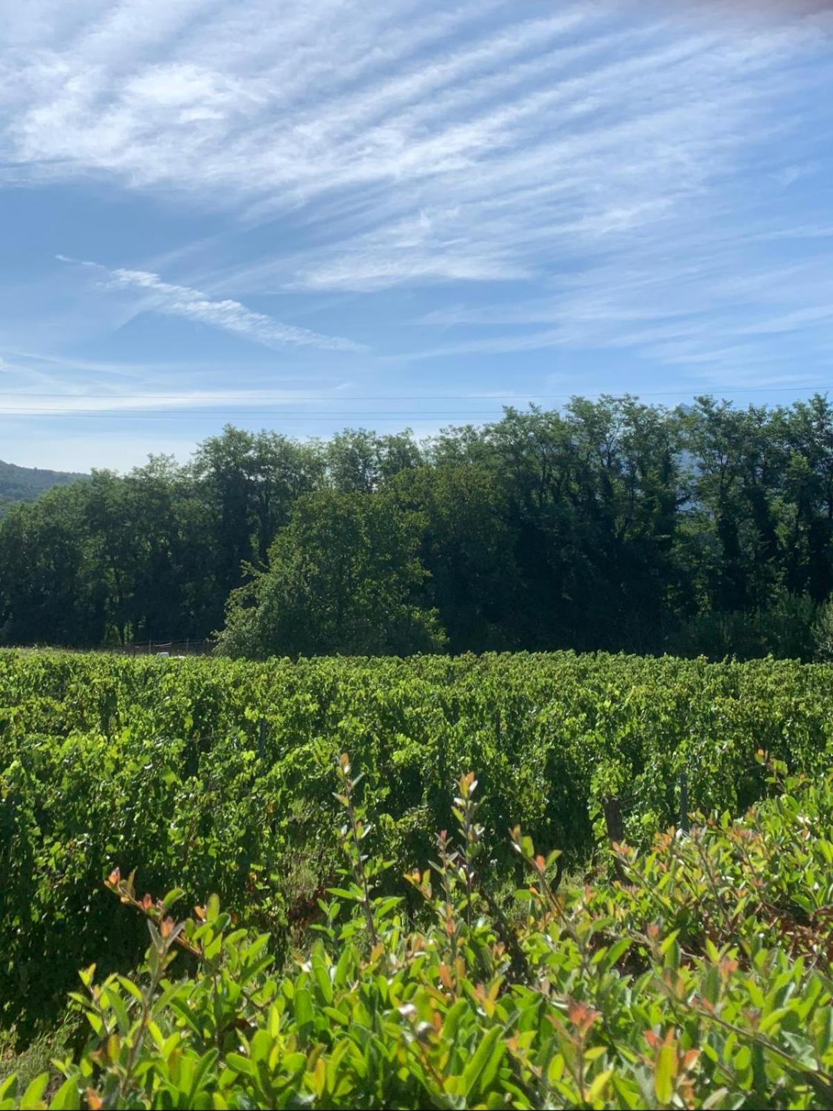 Agriturismo Il Bardellino Fivizzano Dış mekan fotoğraf