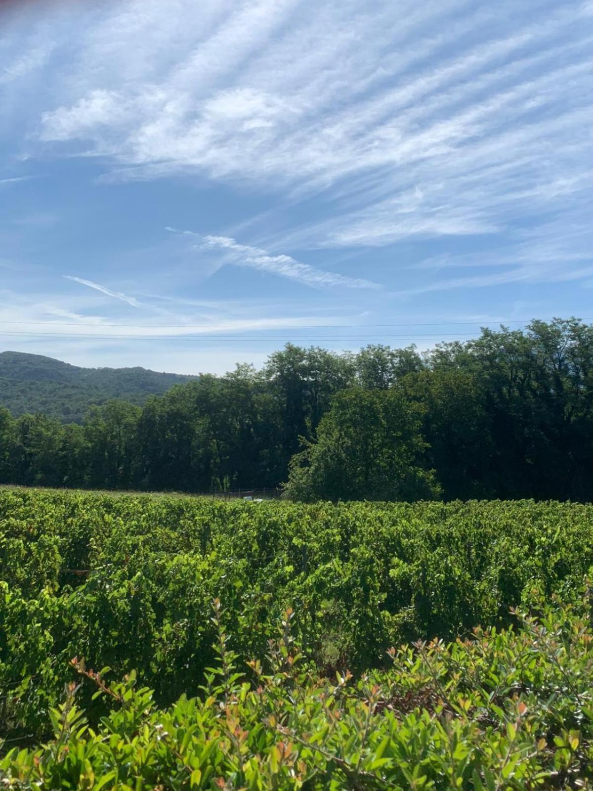 Agriturismo Il Bardellino Fivizzano Dış mekan fotoğraf